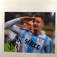 cover image of the auction item