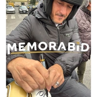 cover image of the auction item