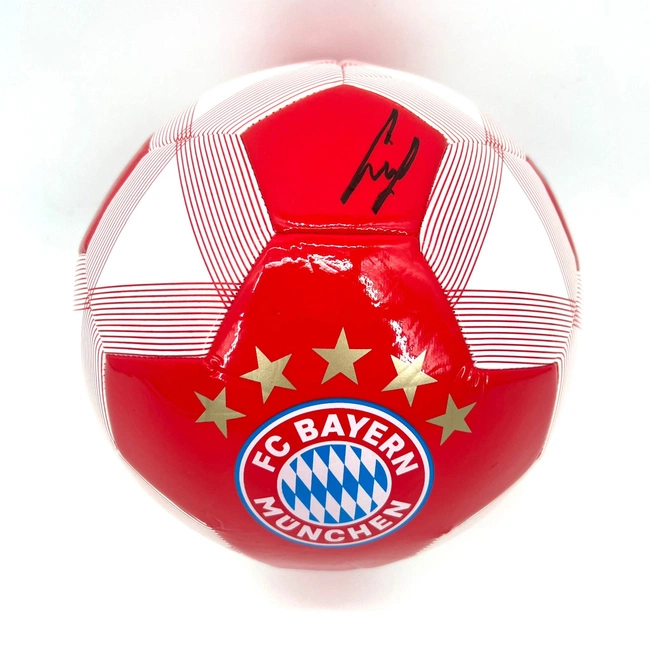 cover image of the auction item