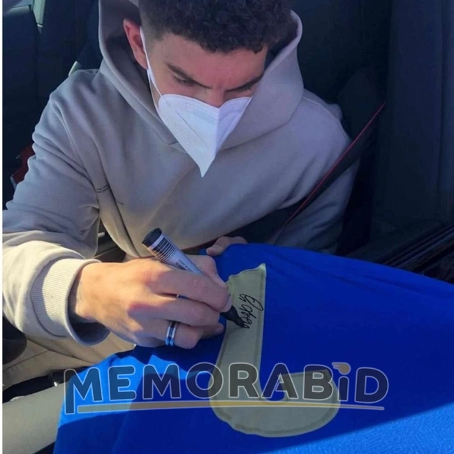 cover image of the auction item