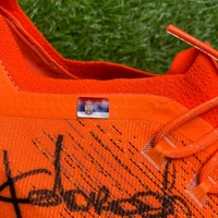 cover image of the auction item