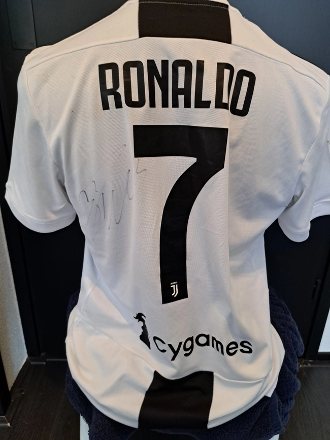 cover image of the auction item