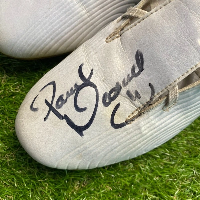 cover image of the auction item