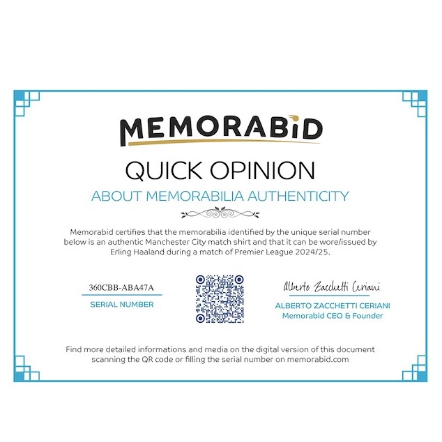 cover image of the auction item