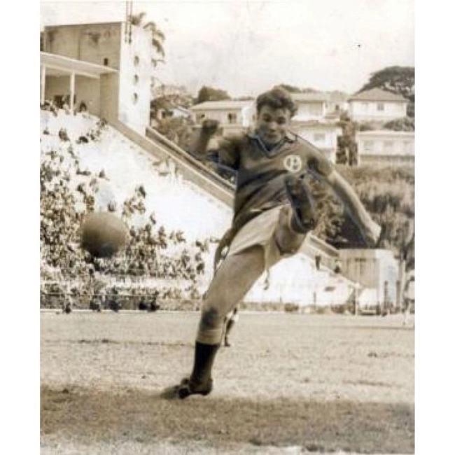 cover image of the auction item