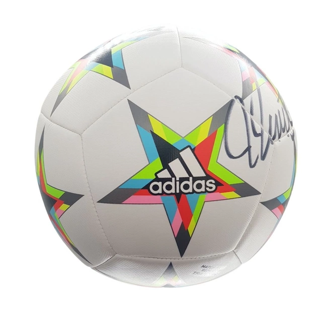 cover image of the auction item