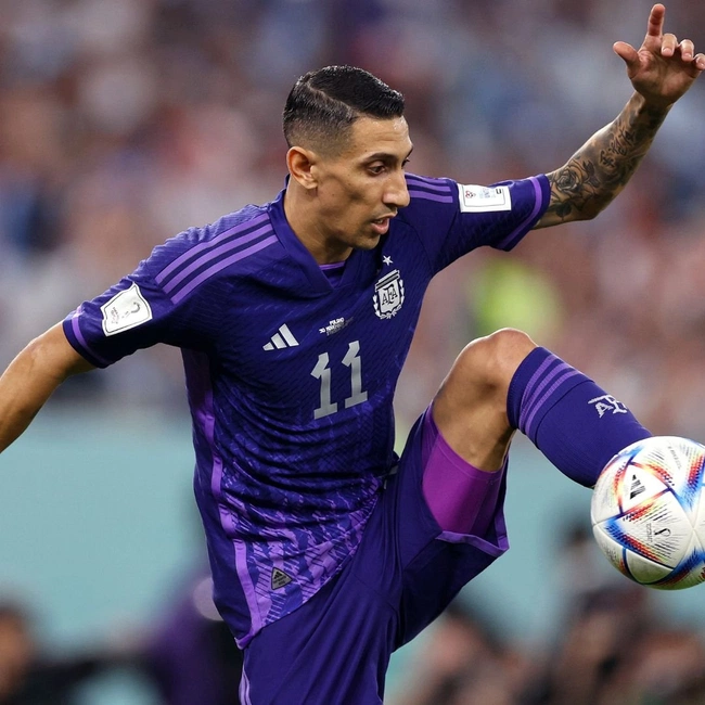 cover image of the auction item