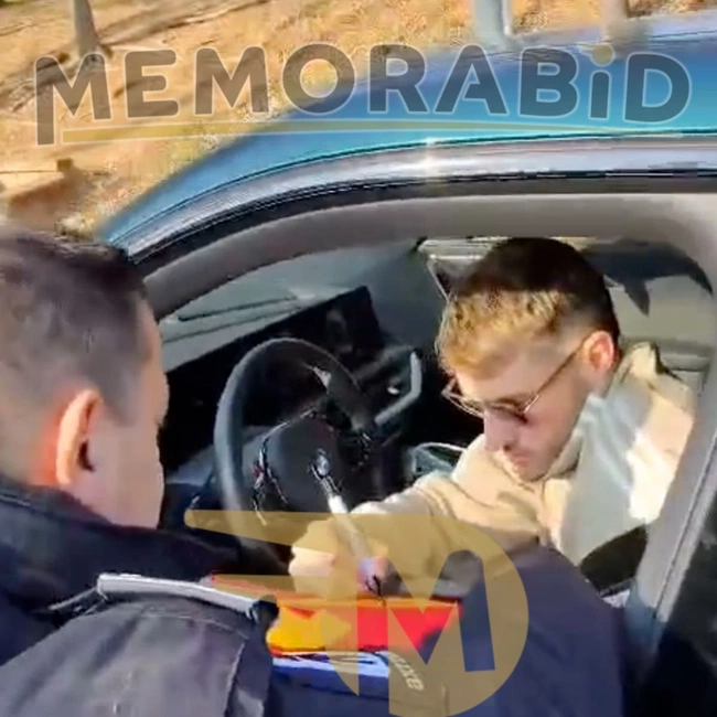 cover image of the auction item