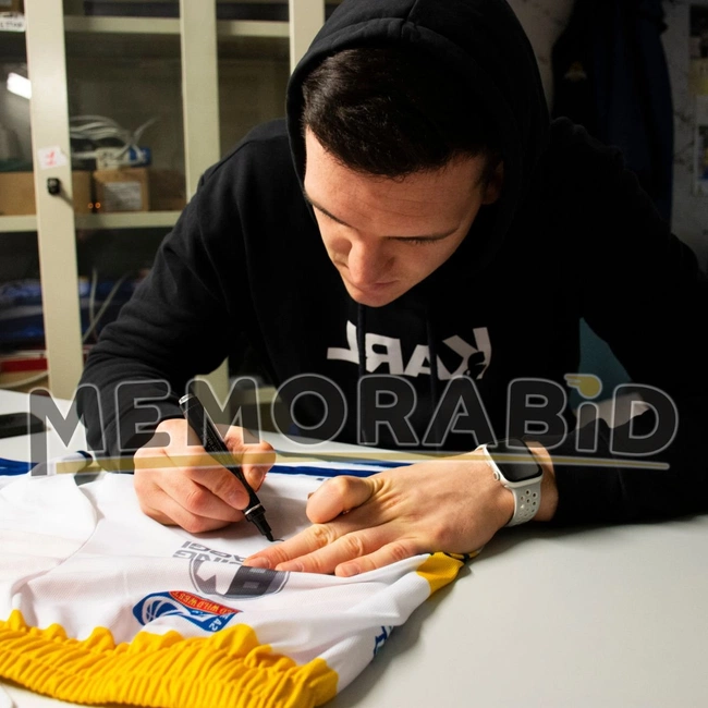 cover image of the auction item