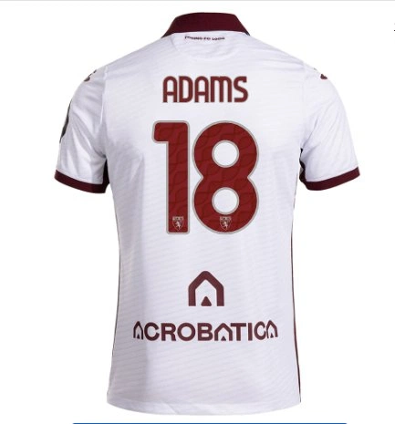 cover image of the auction item