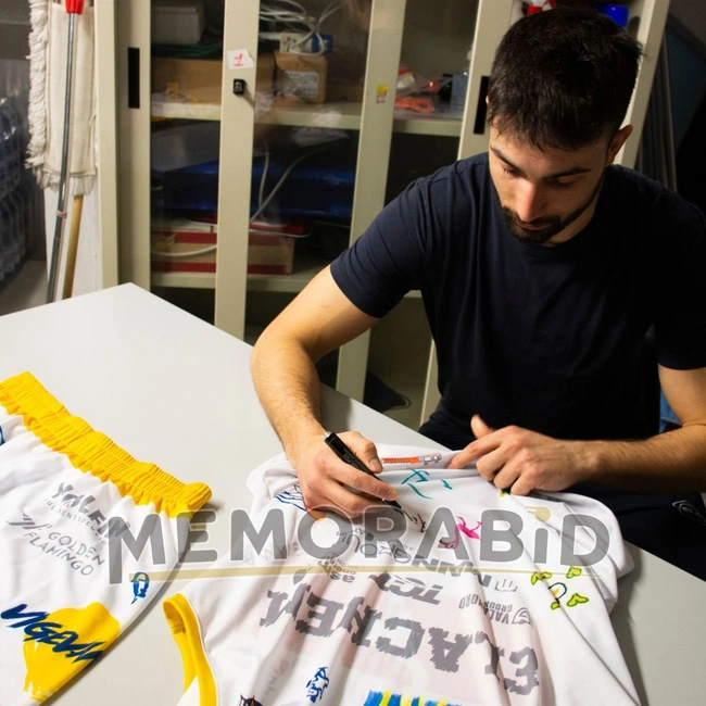 cover image of the auction item