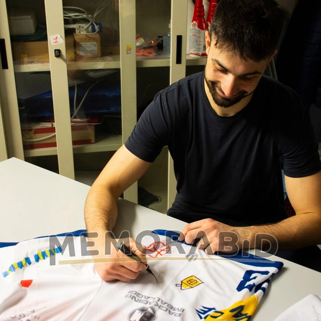 cover image of the auction item