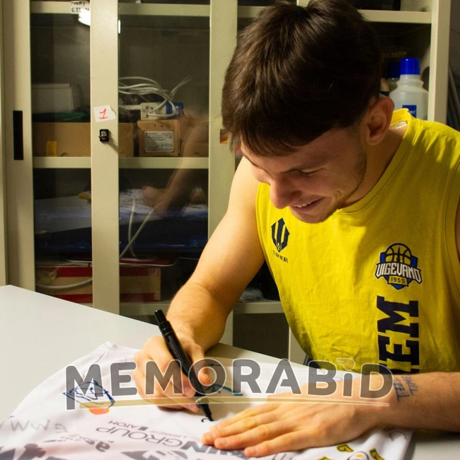 cover image of the auction item