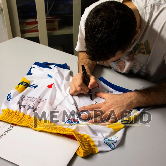 cover image of the auction item