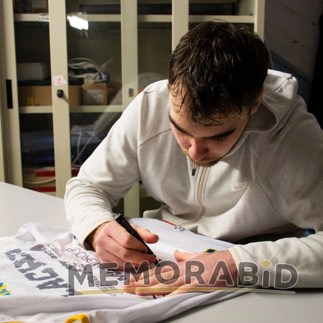 cover image of the auction item