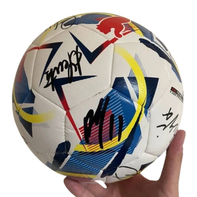 cover image of the auction item