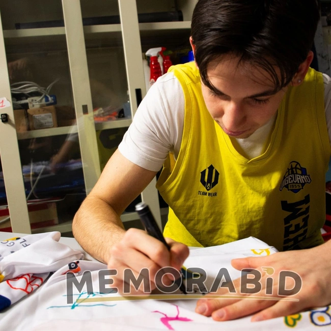 cover image of the auction item