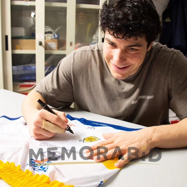 cover image of the auction item