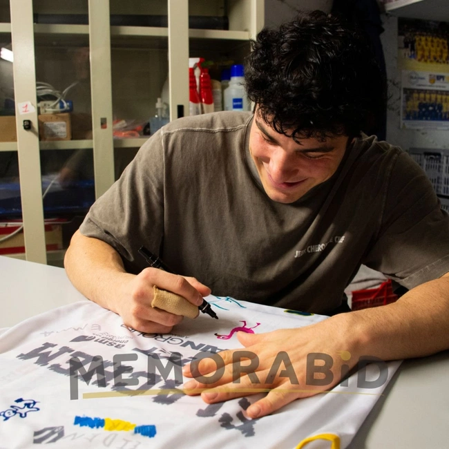 cover image of the auction item