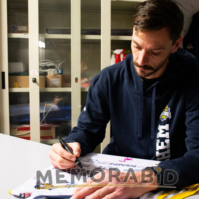 cover image of the auction item