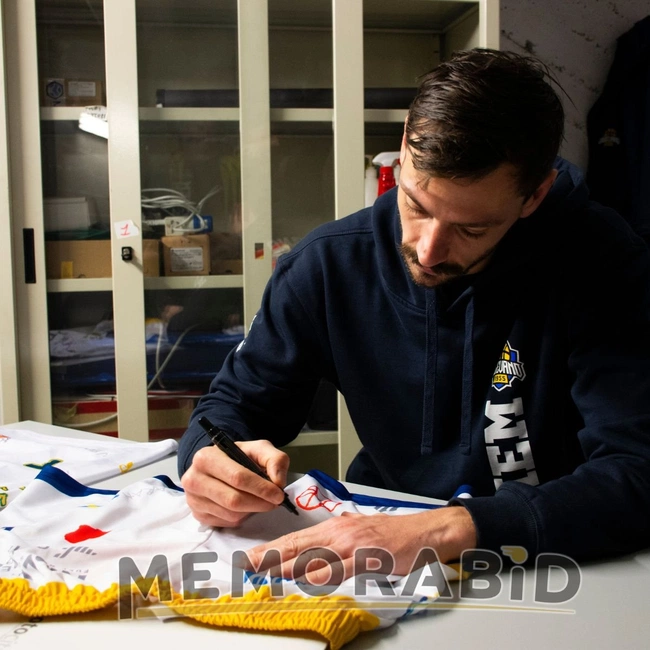 cover image of the auction item