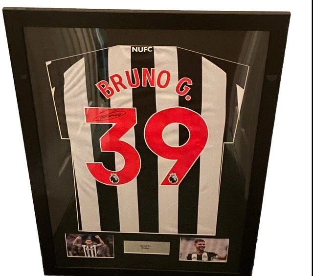 cover image of the auction item