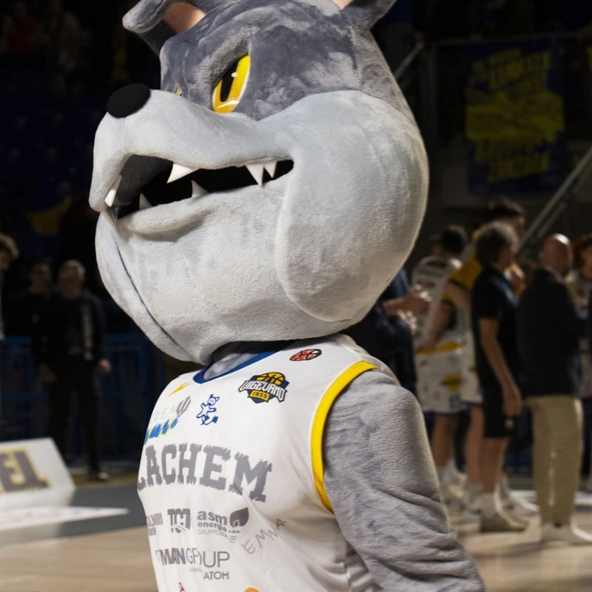 cover image of the auction item