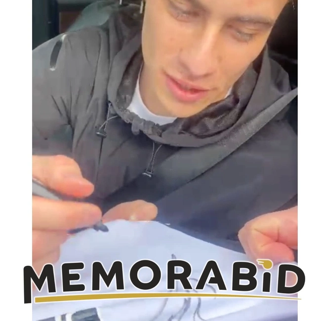 cover image of the auction item