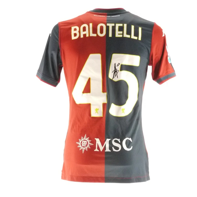 cover image of the auction item