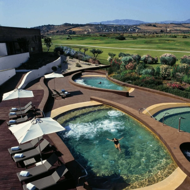 cover image of the auction item