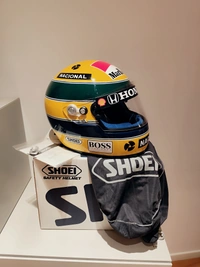 cover image of the auction item