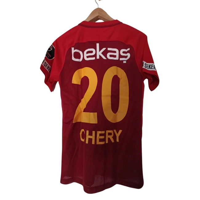 cover of the auction item