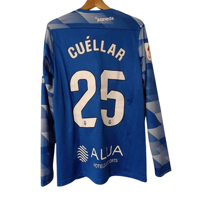 cover image of the auction item