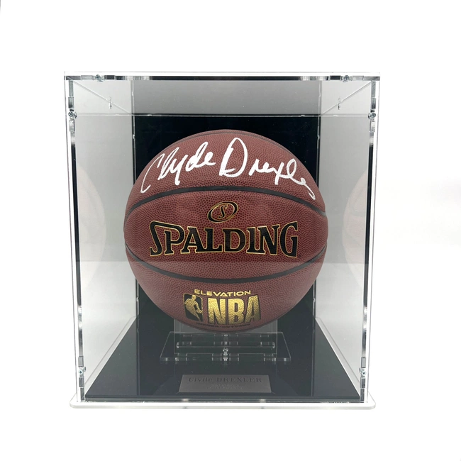 cover image of the auction item