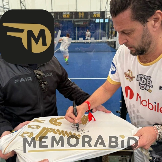 cover image of the auction item