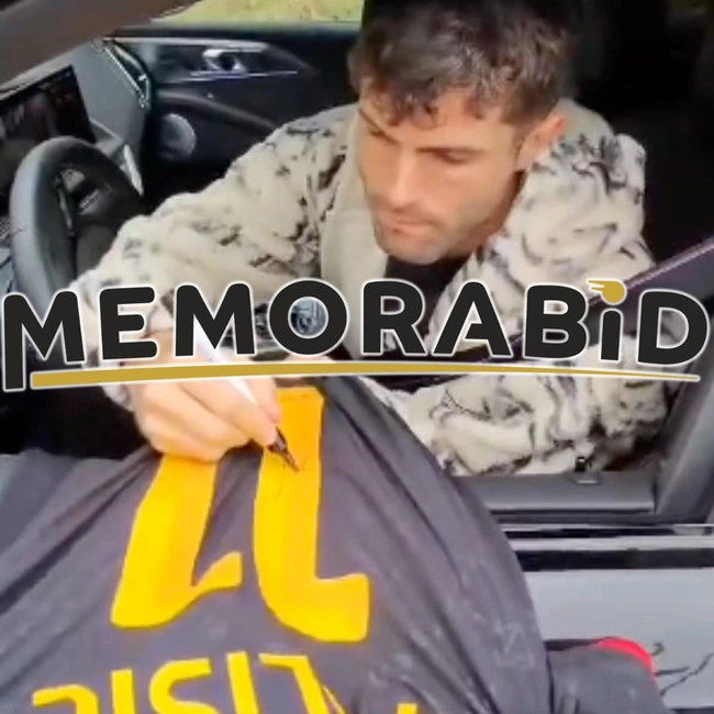 cover image of the auction item