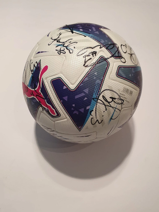 cover image of the auction item