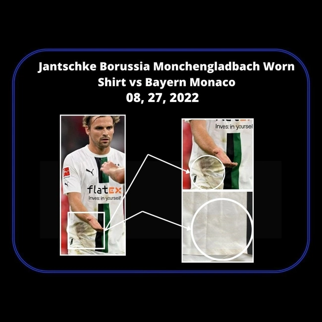 cover image of the auction item