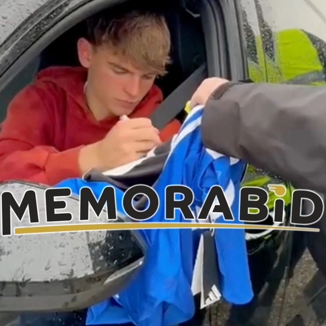 cover image of the auction item