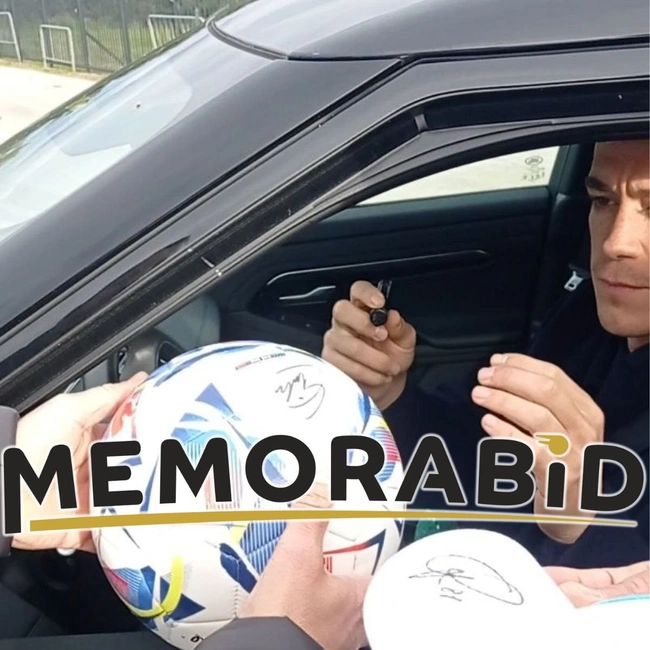 cover image of the auction item