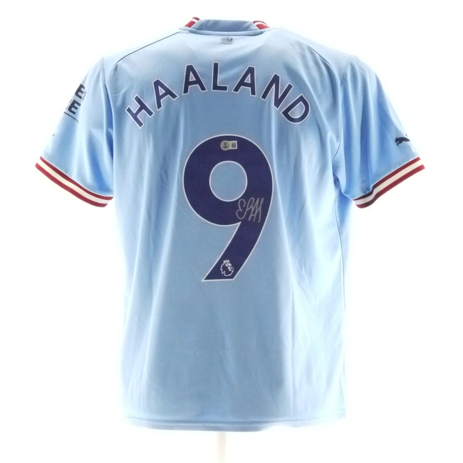 cover image of the auction item