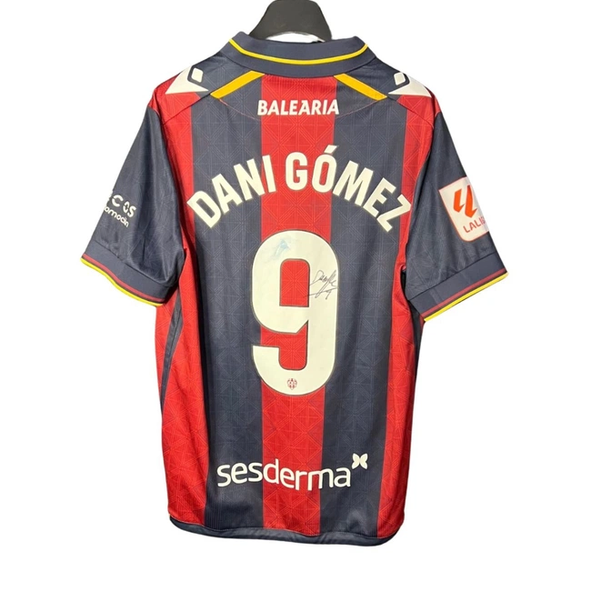 cover image of the auction item