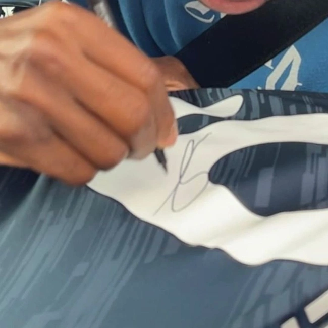 cover image of the auction item