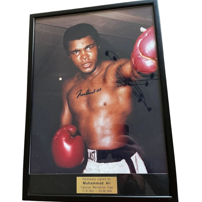 cover image of the auction item