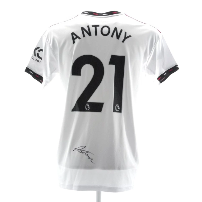 cover image of the auction item