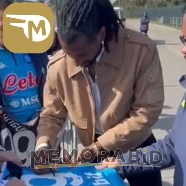 cover image of the auction item