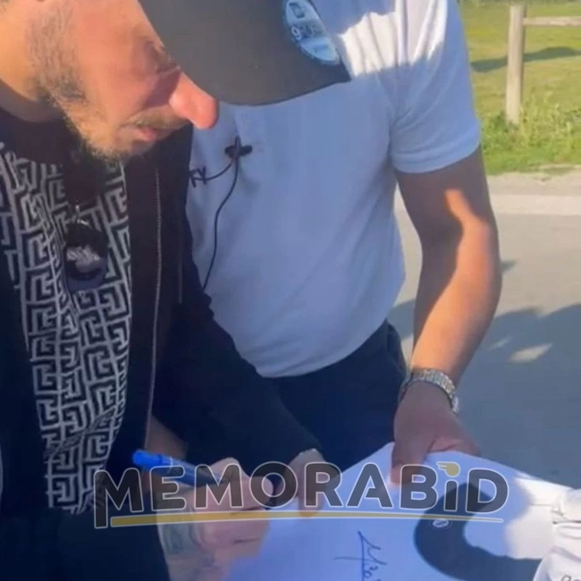 cover image of the auction item