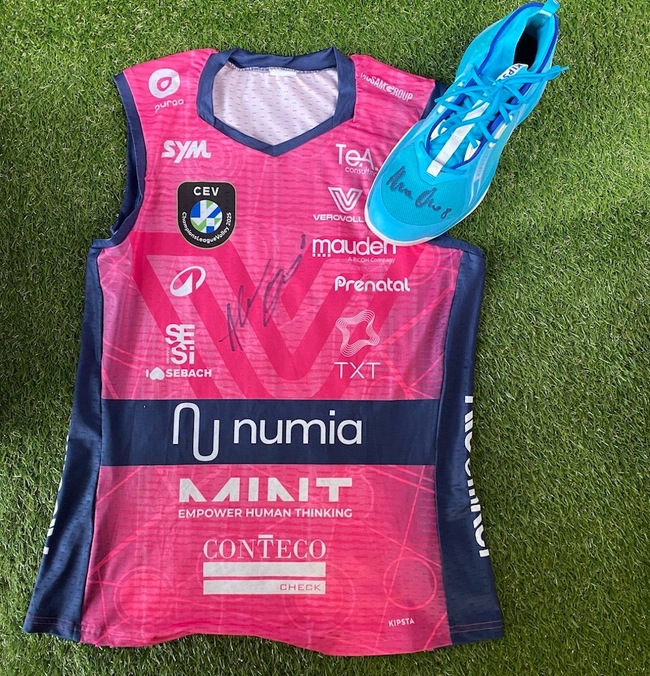 cover image of the auction item