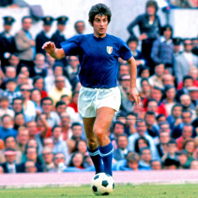 cover of the auction item