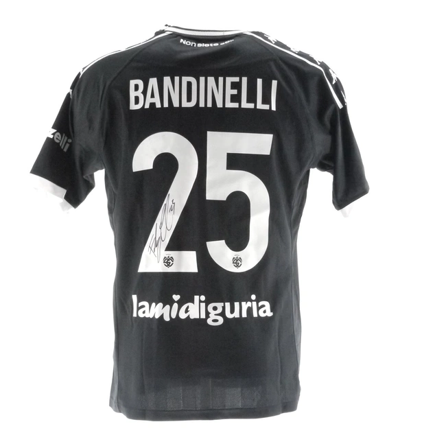 cover image of the auction item